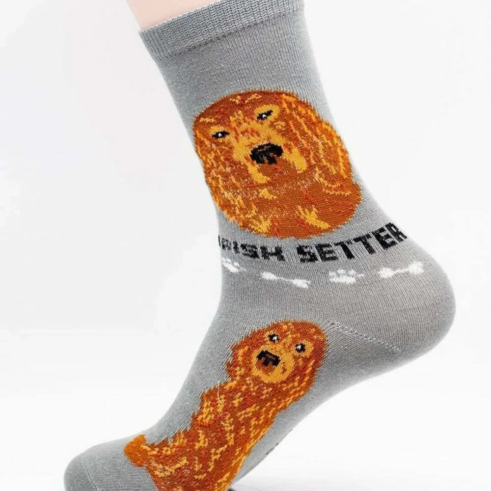 Irish Setter Hunting Gundog Dogs Rescue Friendly Animal Dog Foozys Socks